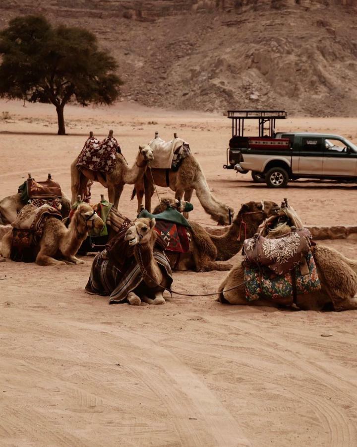 Wadi Rum Fun Time Tour'S Exterior foto