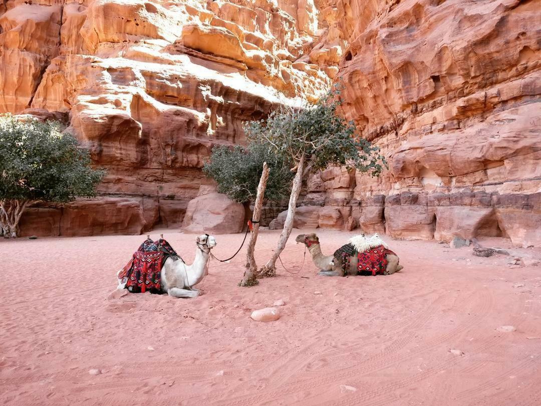 Wadi Rum Fun Time Tour'S Exterior foto